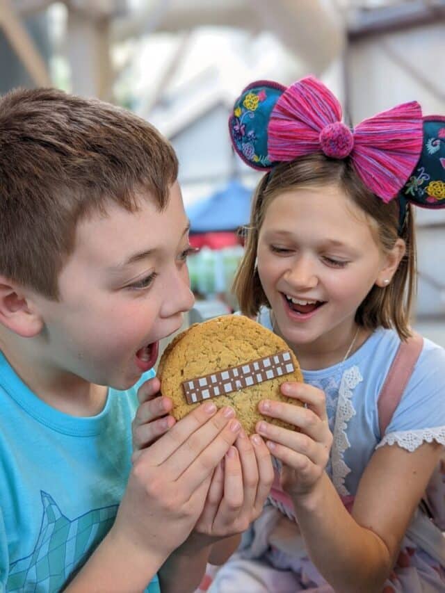 Disney Meals and Snacks for Large Families
